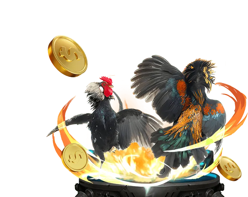 Chương trình VIP nn8