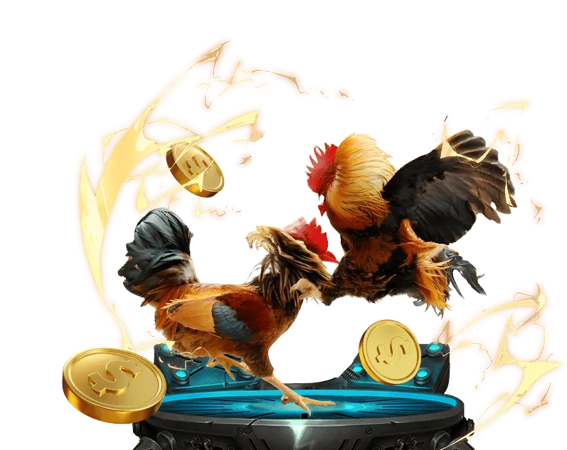 Khuyến mãi thể thao nn8